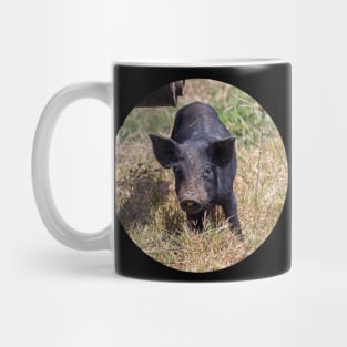 my little black pig Mug